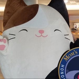 Meet your Posher, Alinah